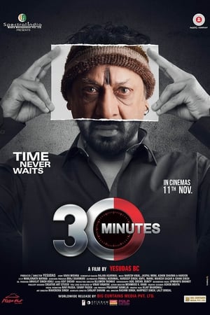 30 Minutes (2016) Movie | Dubbed Hindi Movie HDRip x264 [840MB]