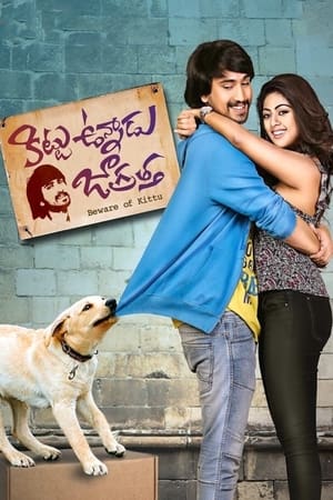 Kittu Unnadu Jagratha 2017 Dual Audio | Dubbed Hindi Movie UnCut HDRip [1.1GB]