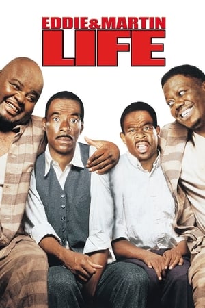 Life (1999) Dual Audio | Dubbed Hindi Movie BluRay [1.3GB]