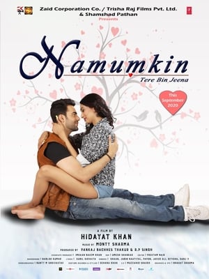 Namumkin Tere Bin Jeena 2020 Movie | Dubbed Hindi Movie HDRip – [300MB]