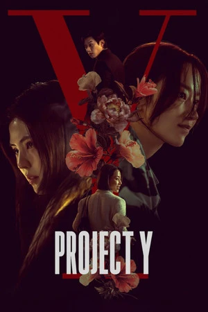 Project Y 2026 - Korean Dual Audio WEB-DL | Dubbed Hindi Movie