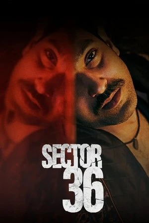 Sector 36 2024 Dual Audio WEB-DL | Dubbed Hindi Movie